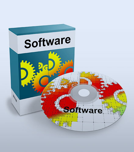 Software-Service